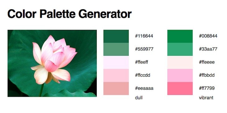 Color Palette Generator Color Palette Generator