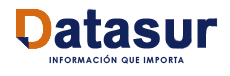 Datasur