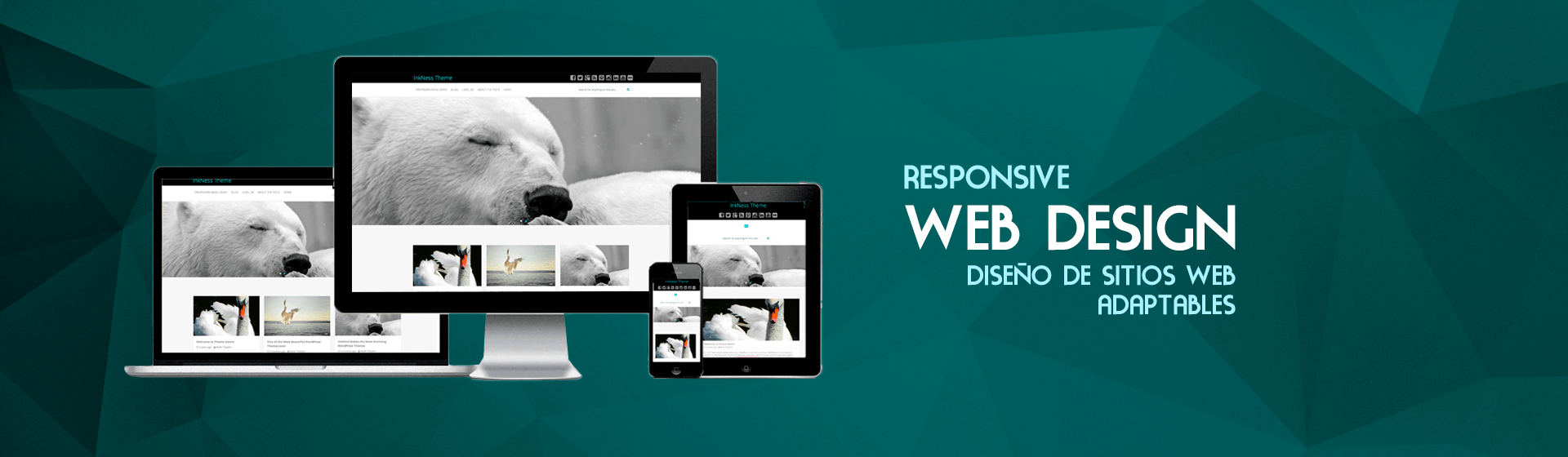 Responsive Web Design